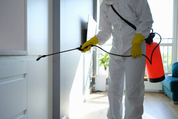 Best Certified Mold Removal  in Walnutport, PA