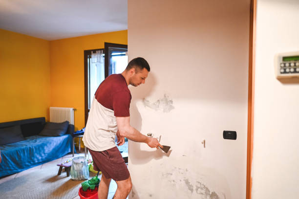 Best Mold Remediation  in Walnutport, PA