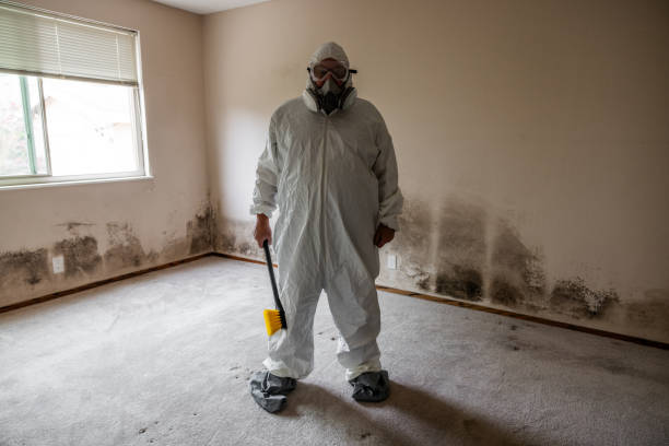 Best Crawl Space Mold Removal  in Walnutport, PA